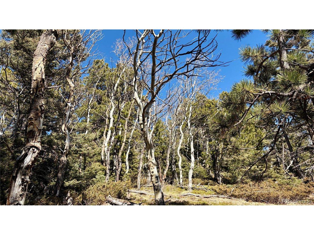Image 3 Image 3