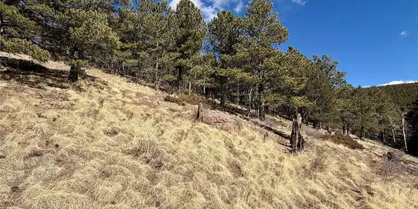 Image 4 Image 4