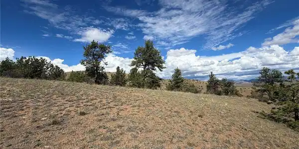 Image 4 Image 4