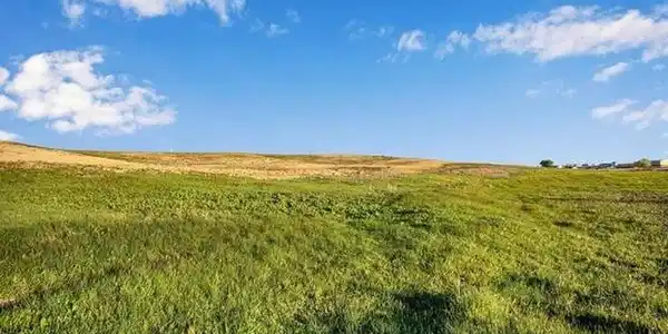 Image 2: Gentle rolling hills