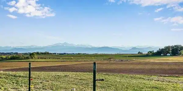 Image 3: On top of the hill looking West