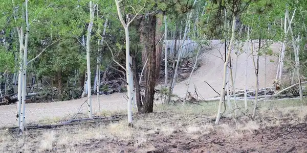 Image 2: Private Driveway