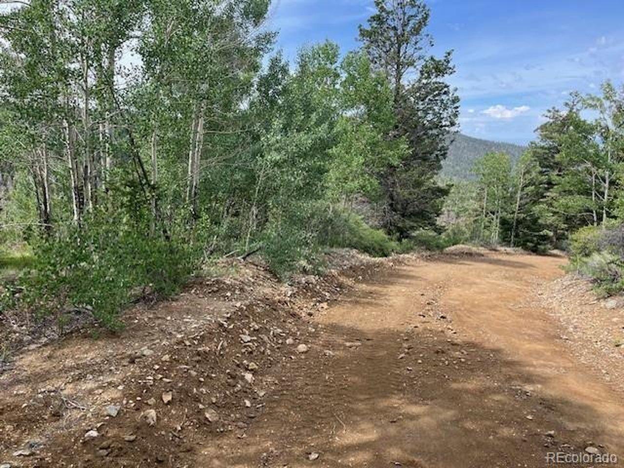 Image 1: Looking down Starkweather, SE corner ofproperty on left. Image 1: Looking down Starkweather, SE corner ofproperty on left.