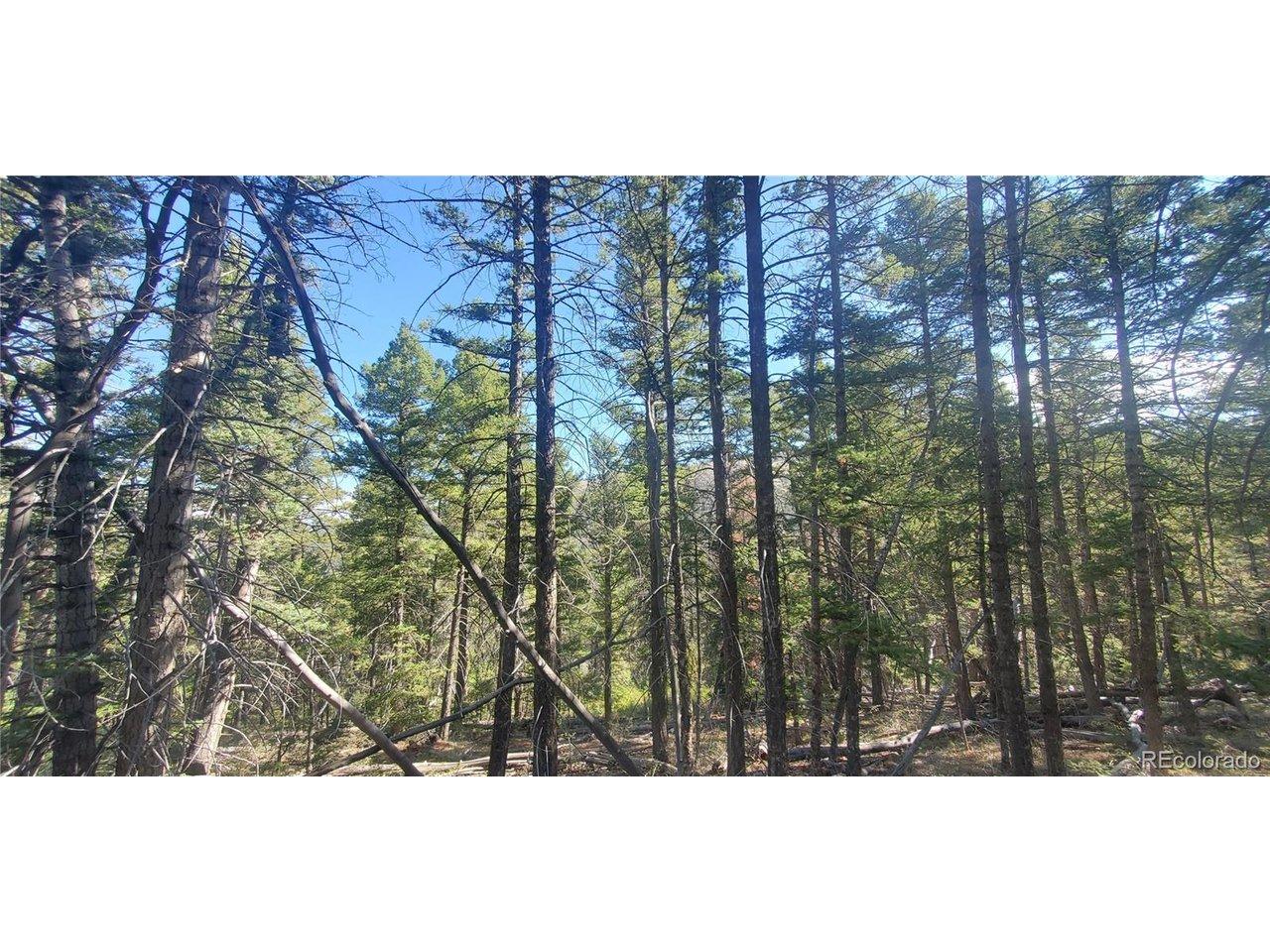 Image 2 Image 2