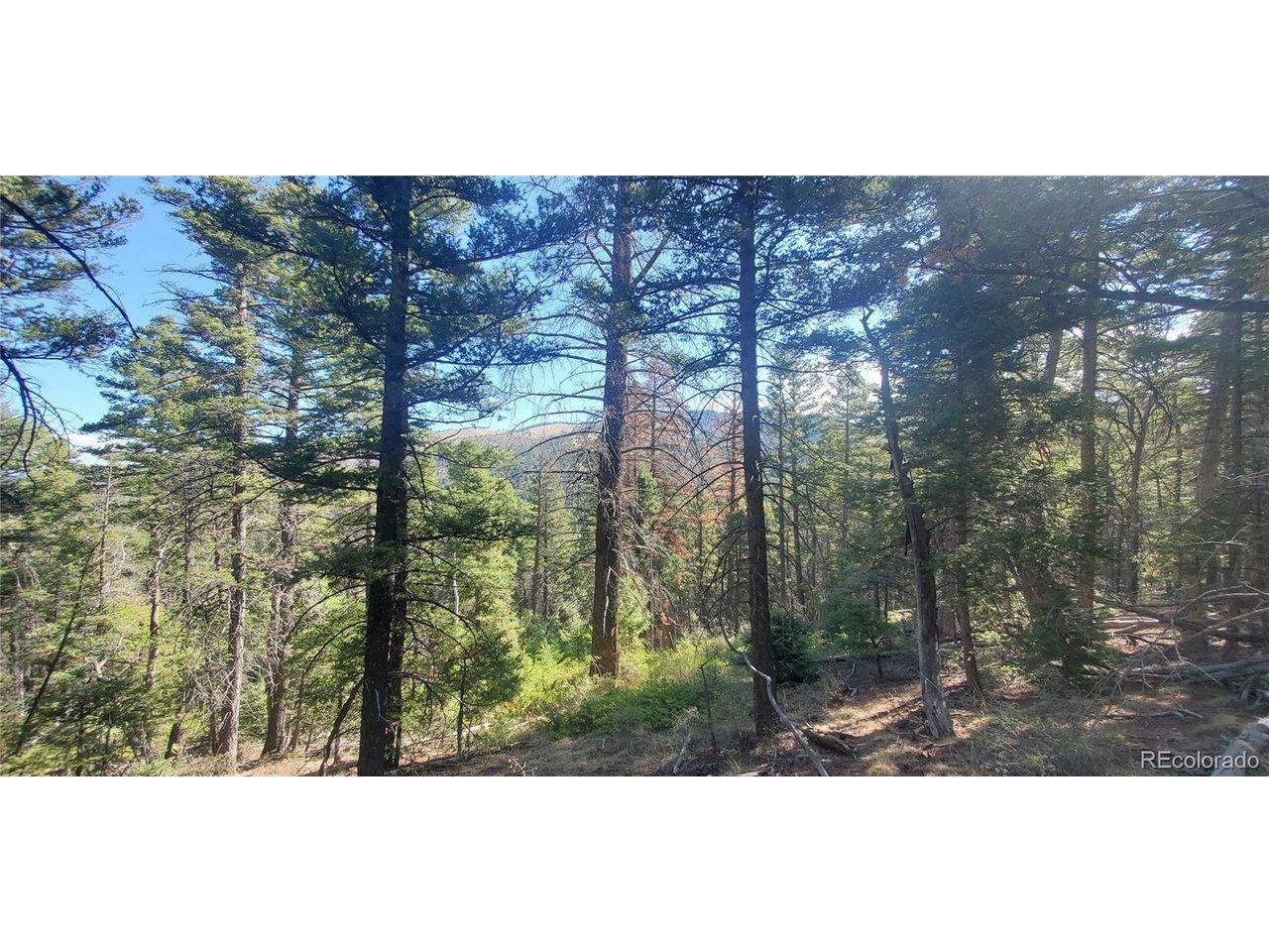 Image 3 Image 3