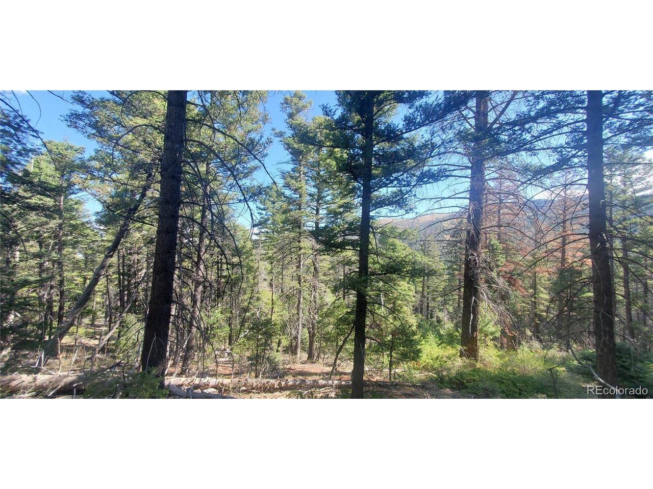Image 4 Image 4
