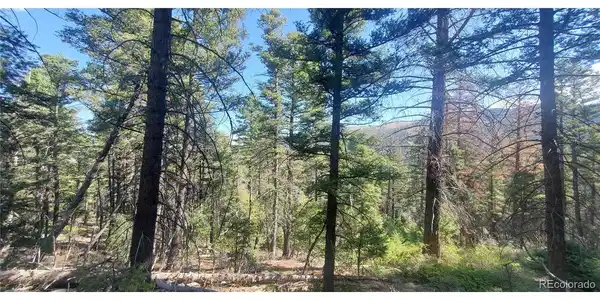 Image 4 Image 4