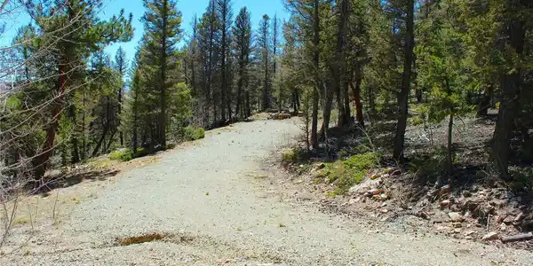 Image 4 Image 4