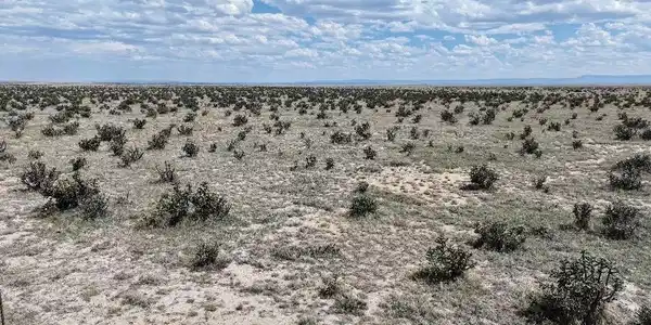 Image 3 Image 3