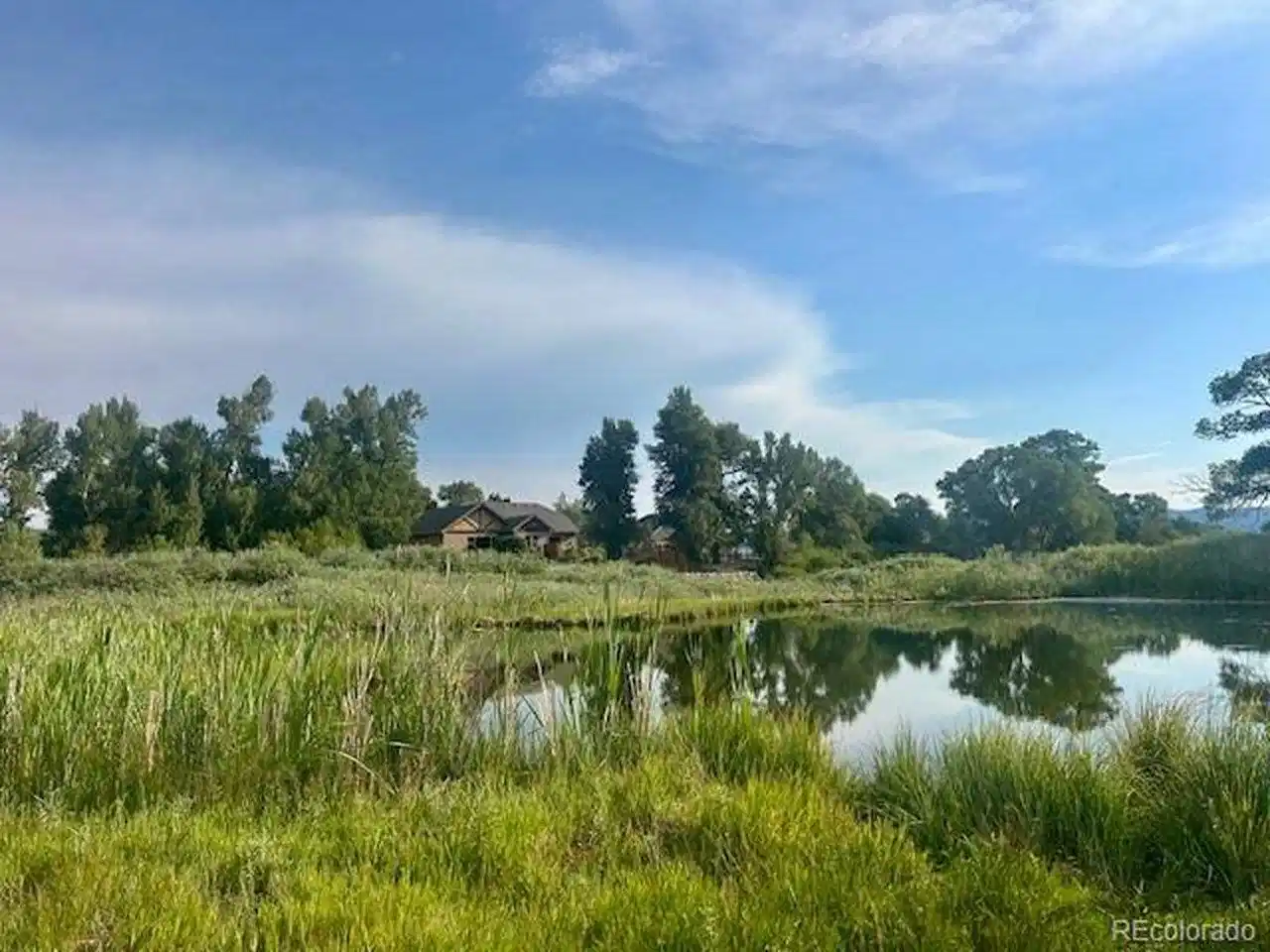 Image 1: Peaceful pond looking northeast.