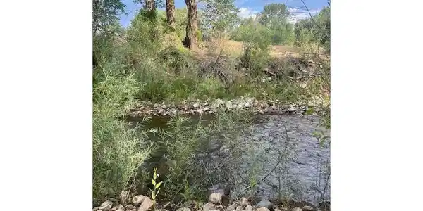 Image 2: Little Arkansas River on the lot.