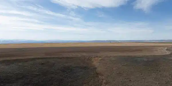 Image 4 Image 4