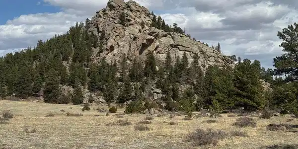 Image 4 Image 4