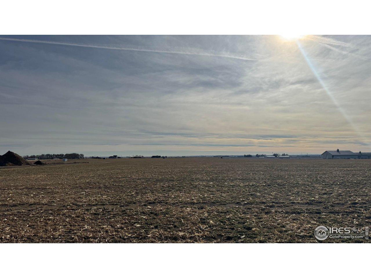 Image 3: North side of farm looking south Image 3: North side of farm looking south