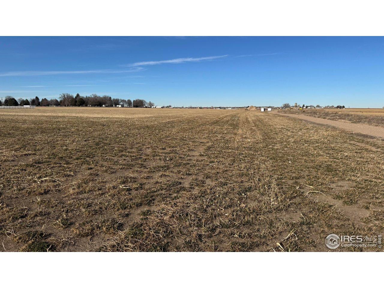 Image 4: Center of farm looking north Image 4: Center of farm looking north
