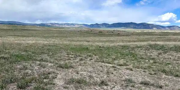 Image 4 Image 4