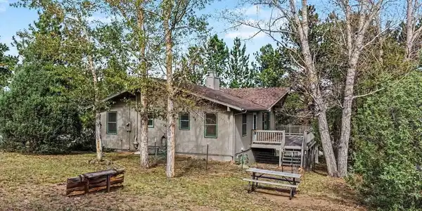 Image 3: Greenery surrounds the house, with a picnic table and horseshoe pit.