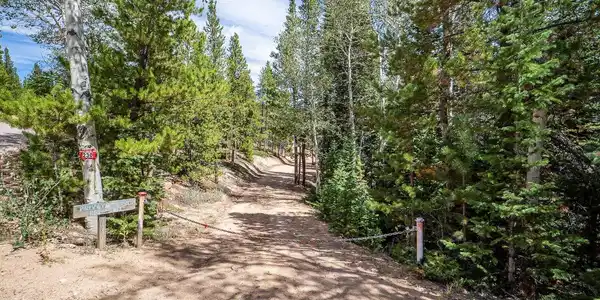 Image 2: Shared driveway (easment in place).