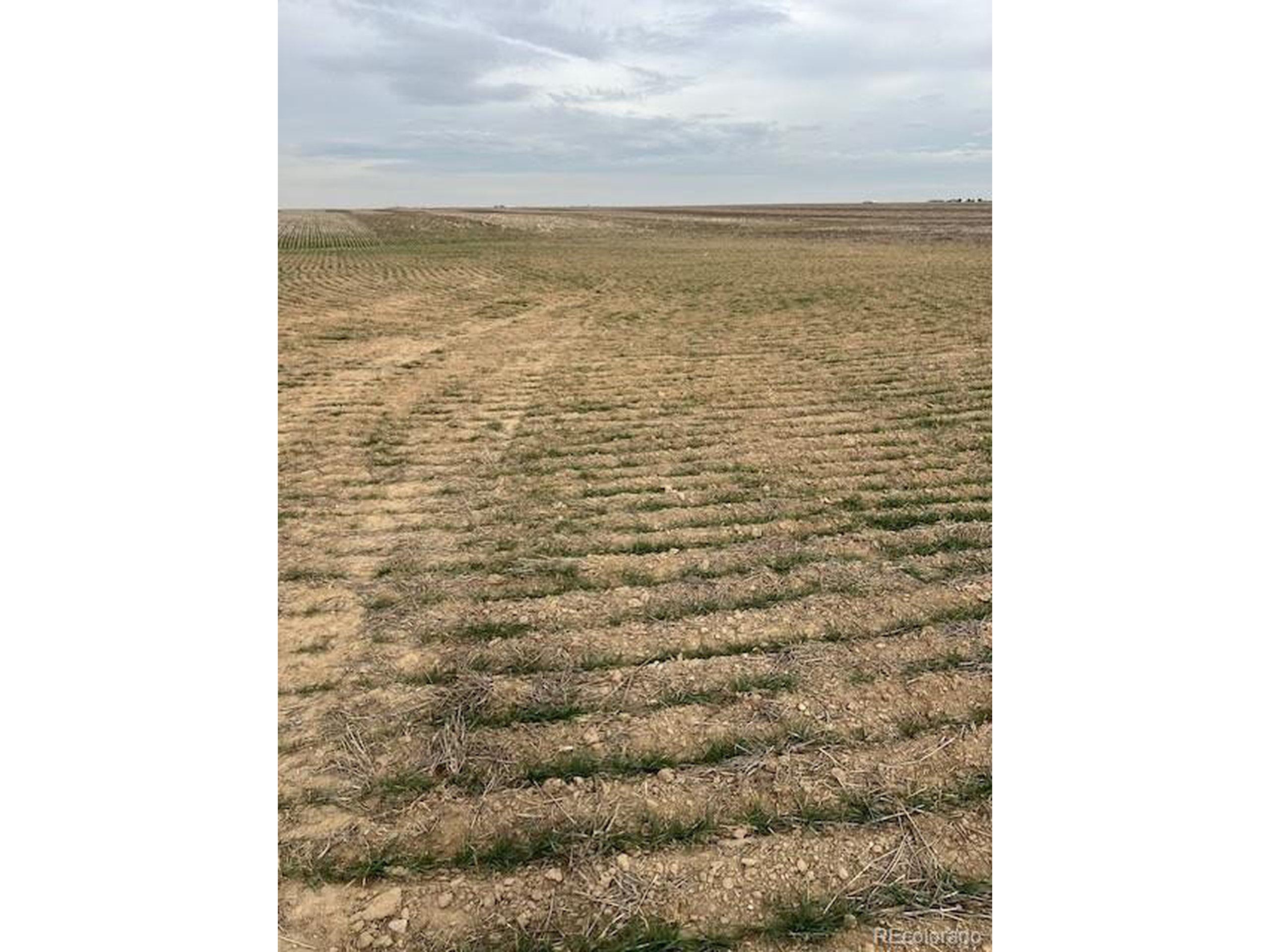 Image 2 Image 2