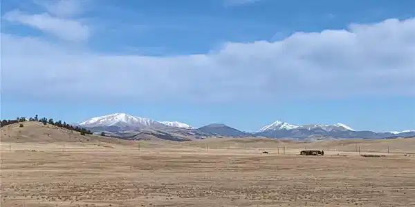 Tonkawa Rd