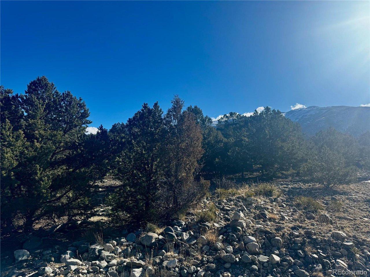 Image 4 Image 4