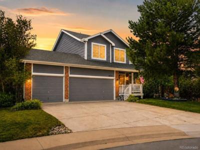 3616 Buffalo Grass Ln