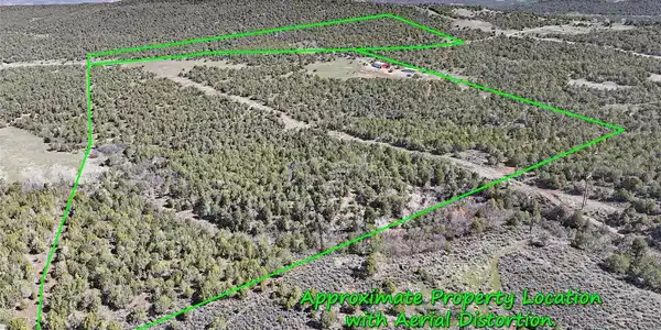 Image 4 Image 4