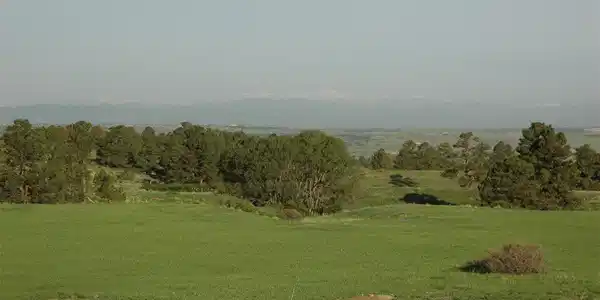 Image 4 Image 4