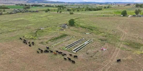 Image 4: Cattle & Fish Hatchery Image 4: Cattle & Fish Hatchery