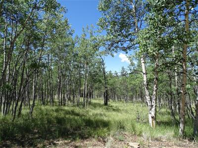 782 Bowstring Rd