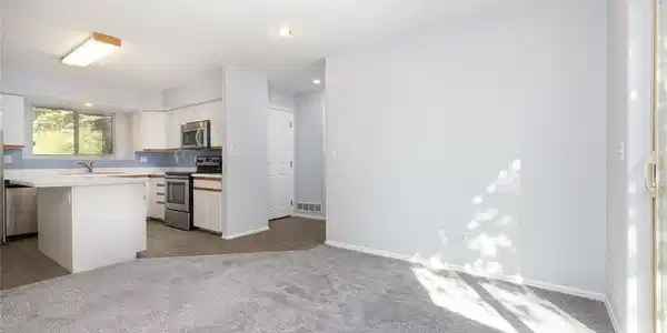 Image 4: New paint and carpet