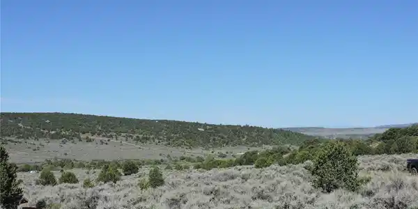 Image 4 Image 4