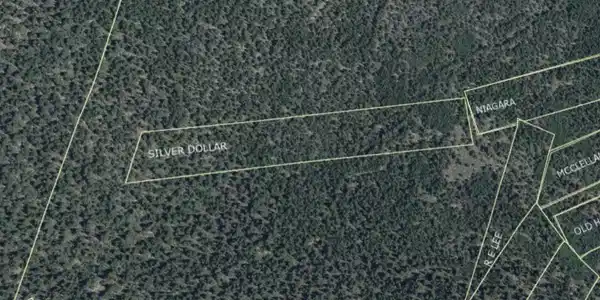 0 Silver Dollar Lode