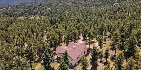 Image 4: Expansive forested acreage bordering National Forest