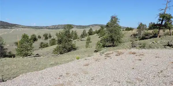 Image 4 Image 4