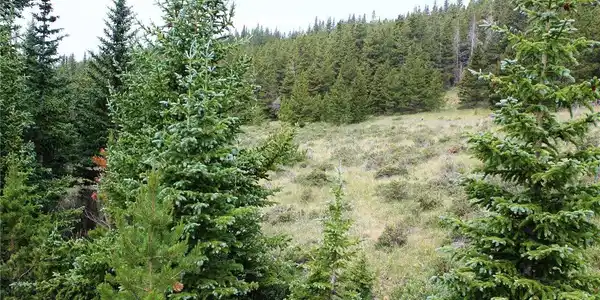 Image 4 Image 4