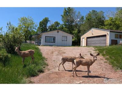 4809 Foothills Dr
