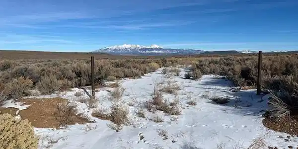 Image 3: Looking N along driveway, Mt Blanca in the distance. Image 3: Looking N along driveway, Mt Blanca in the distance.