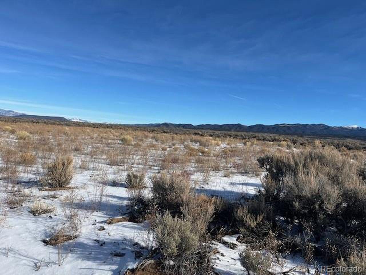 Image 4: Looking NE at area that was cleared. Has grown back up a little. Image 4: Looking NE at area that was cleared. Has grown back up a little.