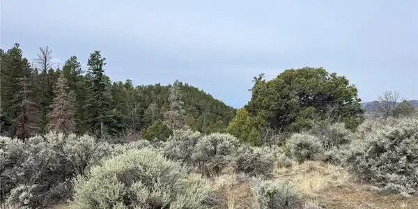 Image 4 Image 4