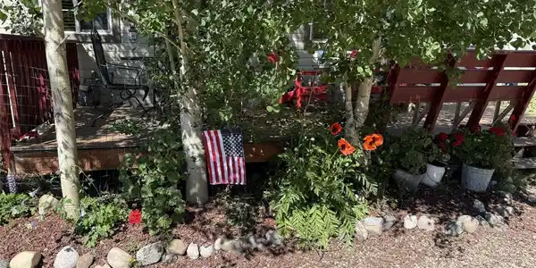 Image 3: flowers out front Image 3: flowers out front