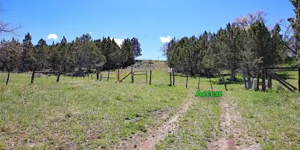 Image 3 Image 3