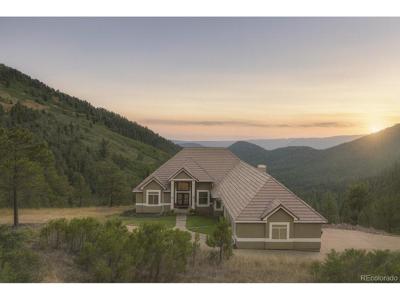 15450 Elk Mountain Trl