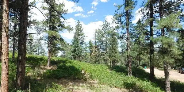 Image 4 Image 4