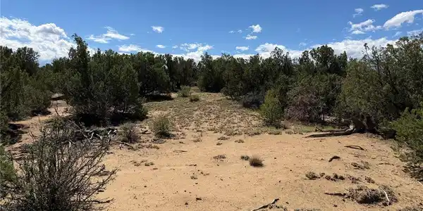 Image 3 Image 3