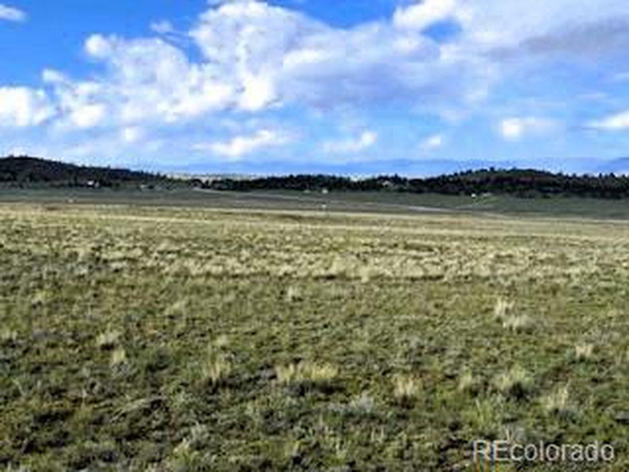 Image 2: View northeast across the lot from the southwest corner of the property Image 2: View northeast across the lot from the southwest corner of the property