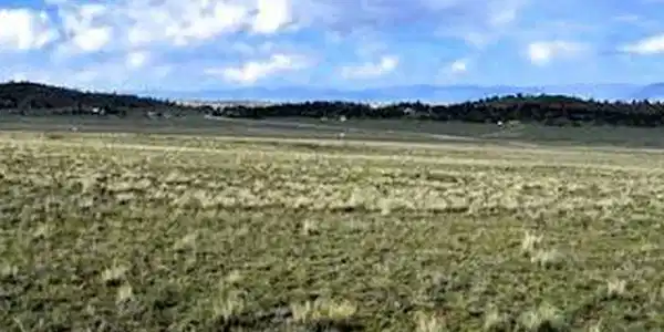 Image 2: View northeast across the lot from the southwest corner of the property Image 2: View northeast across the lot from the southwest corner of the property