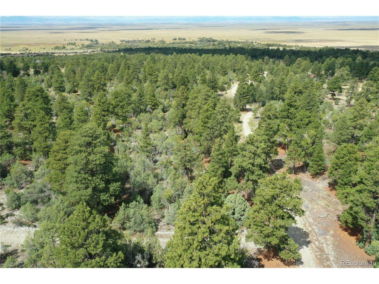 Image 3: In this picture, you will see Pawnee Place and Big Bear Road running east and west. Large Ponderosas, Pinon, and Juniper Trees are abundant on this parcel. This is the northeast corner of the property. Image 3: In this picture, you will see Pawnee Place and Big Bear Road running east and west. Large Ponderosas, Pinon, and Juniper Trees are abundant on this parcel. This is the northeast corner of the property.