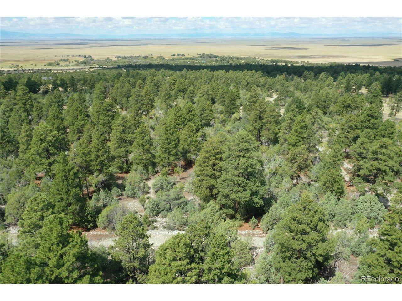 Image 4: Big Bear Road is at the bottom of your screen. This would be the middle of the lot. Image 4: Big Bear Road is at the bottom of your screen. This would be the middle of the lot.