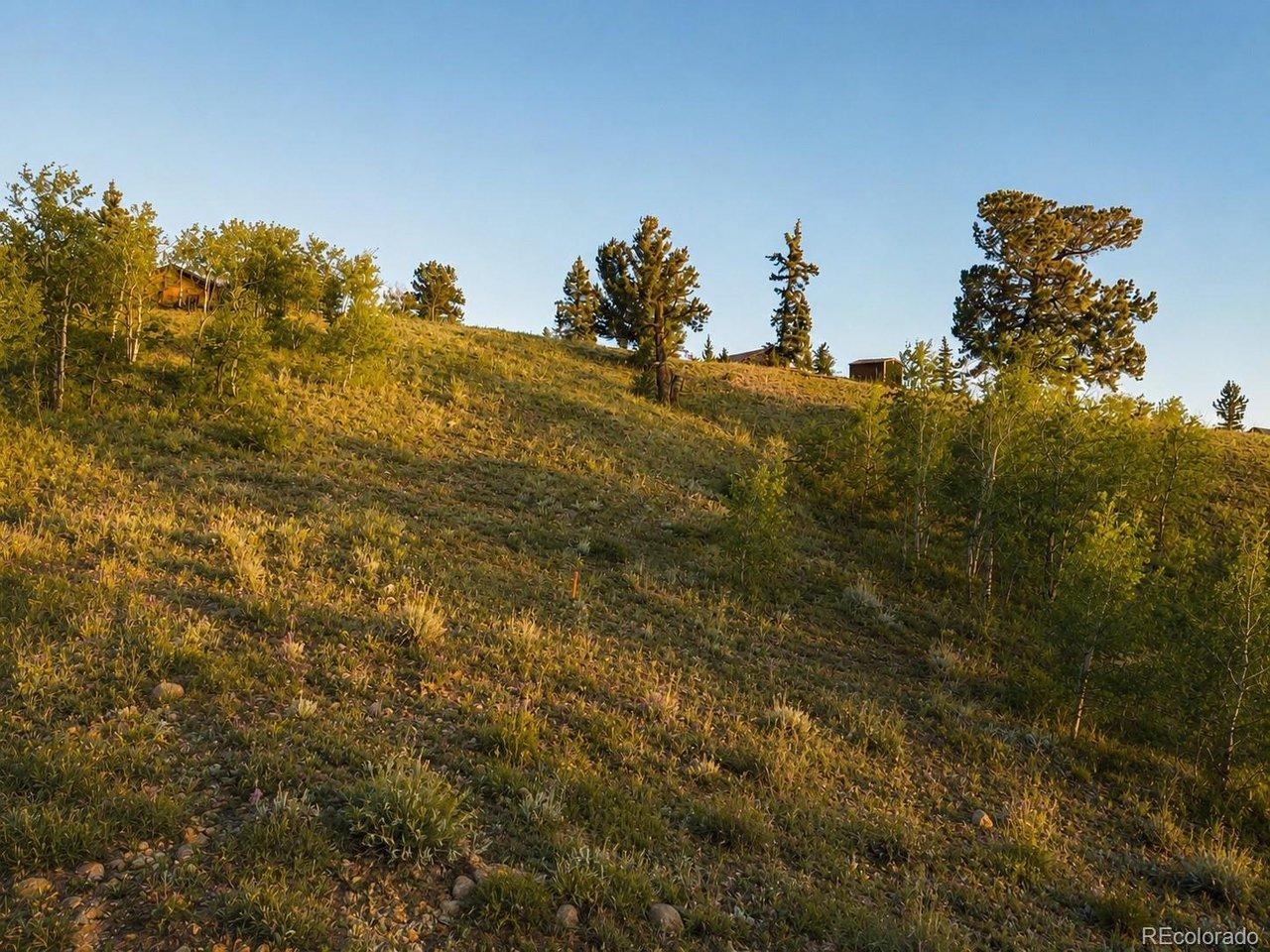 Image 4 Image 4